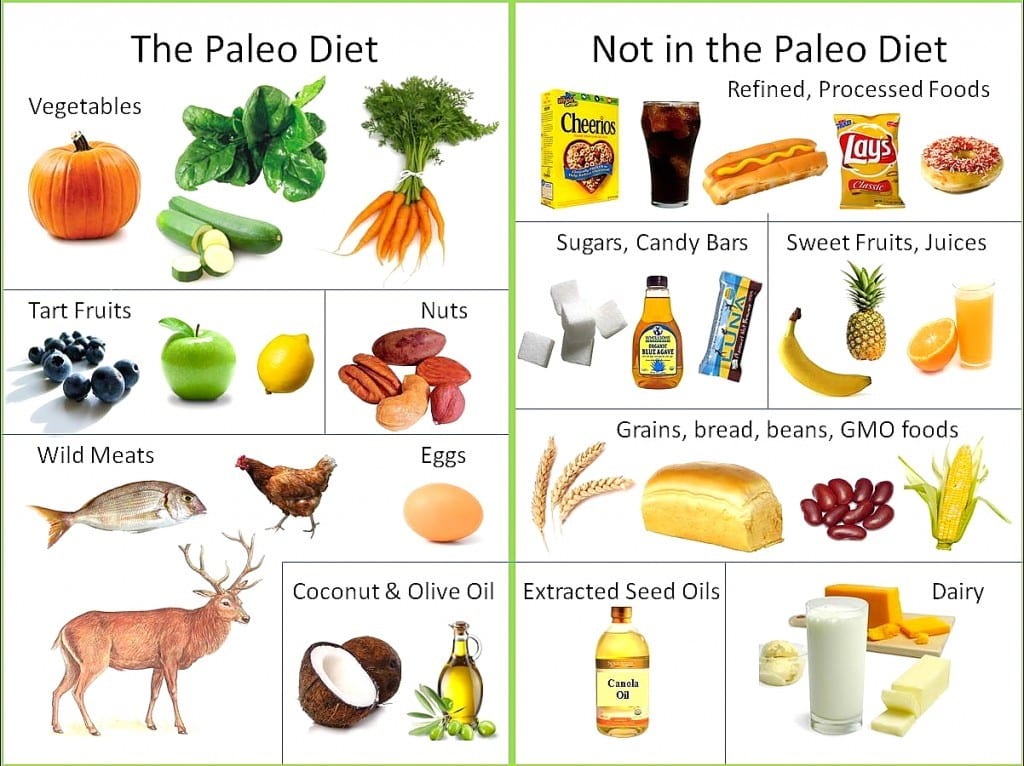 Paleo Diet: How Paleo is a Paleo Diet? - HealthWISE