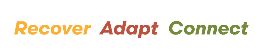 Recover adapt connect, a bushfire recovery initiative