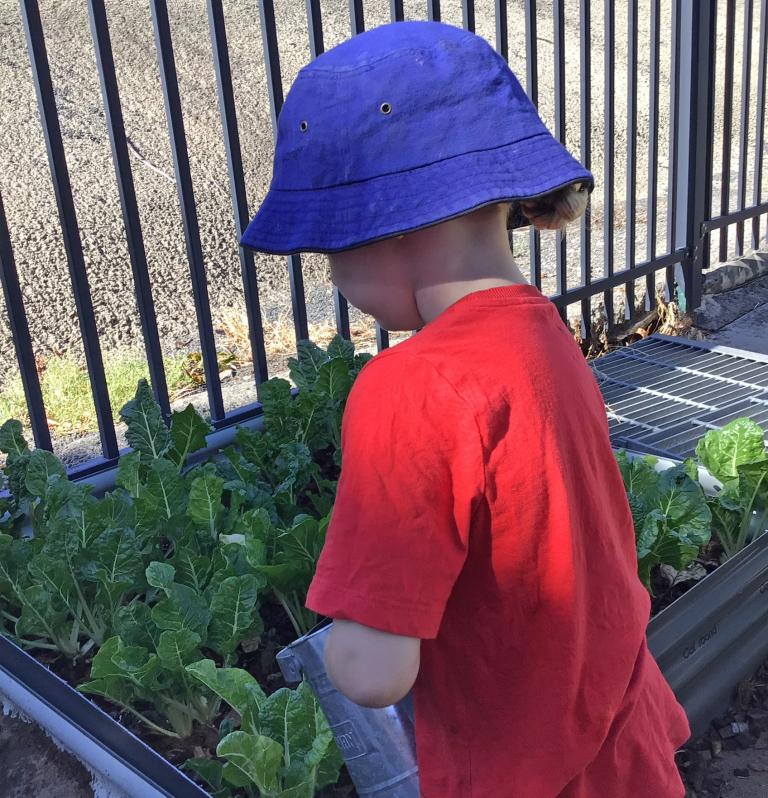 Gunnedah Preschool gardening.